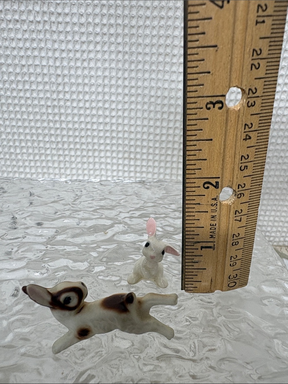 Miniature bunnies - Picture 10 of 10